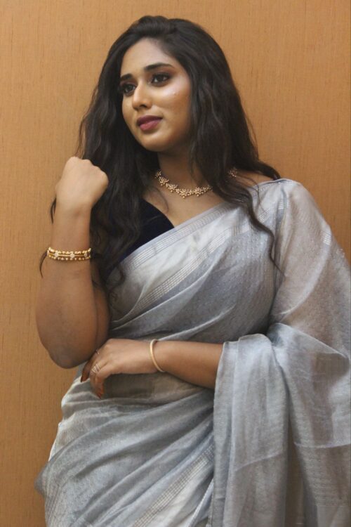 Gray Color Party wear Saree