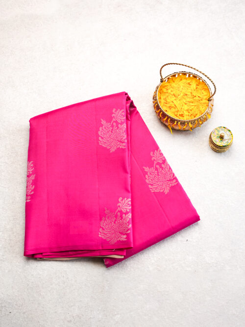 BORDER LESS KANJEEVARAM SILK SAREE